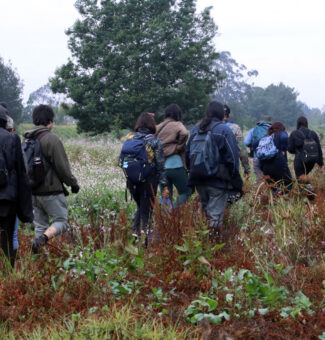 Caminata